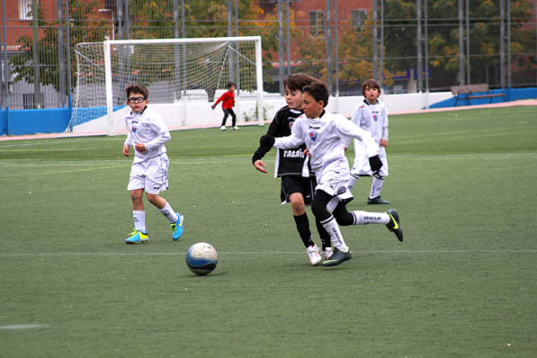 EDM Benjamnines