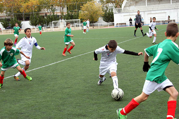 EDM Benjamnines