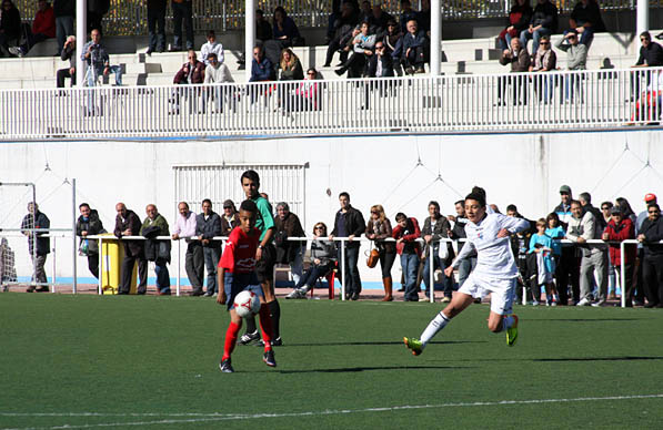 Cadetes