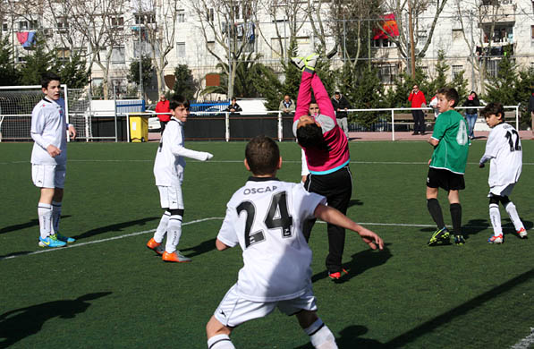 Alevín D