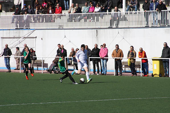 Alevín D