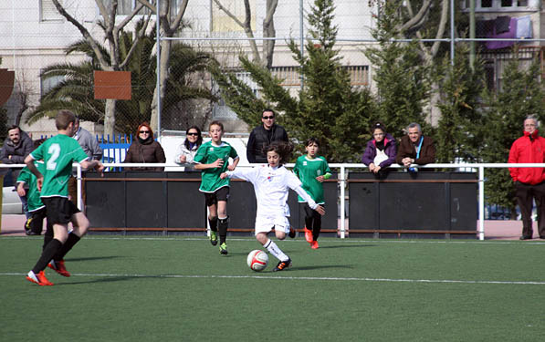 Alevín D