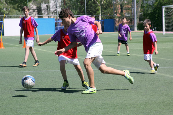 Campus de Verano 2014