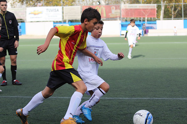 Benjamín B