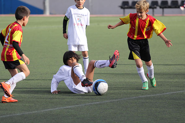 Benjamín B