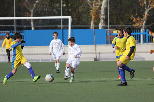Alevín B