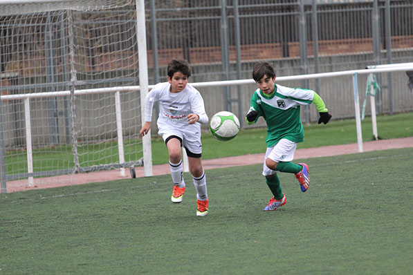 Alevín D