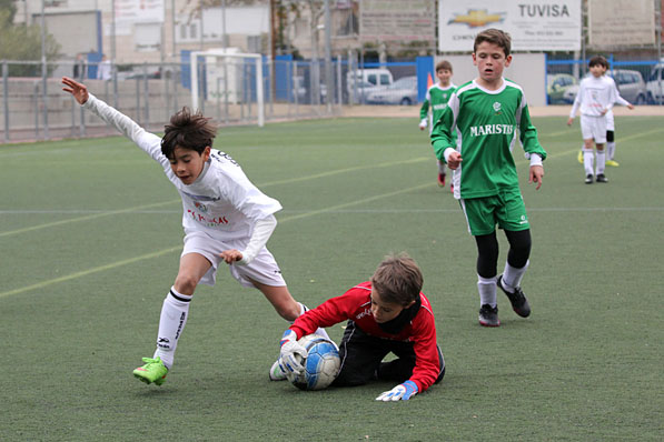 Alevín G
