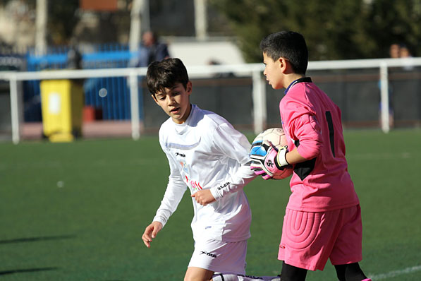 Alevin A