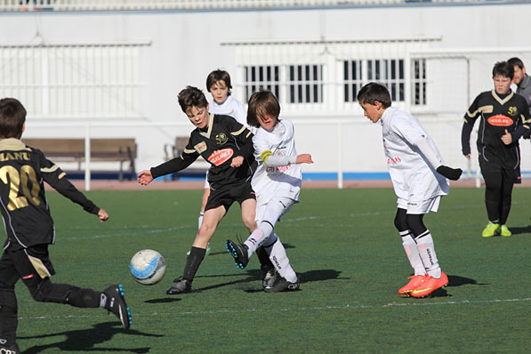Alevín C