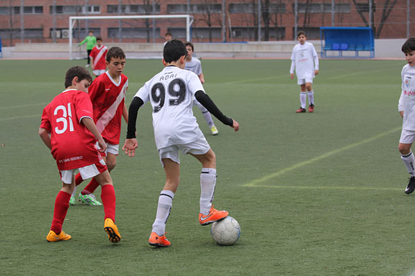 Alevín D