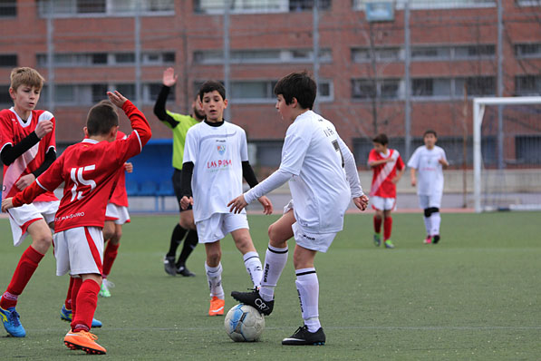 Alevín D