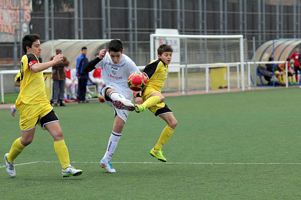 Infantil D