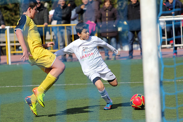 Infantil D