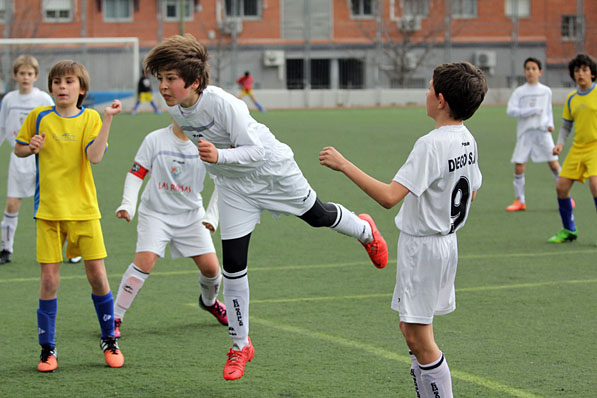 Alevín G