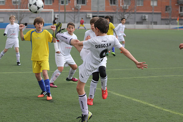 Alevín G