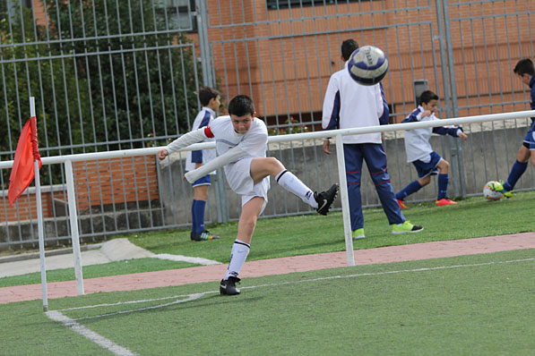 Alevín E