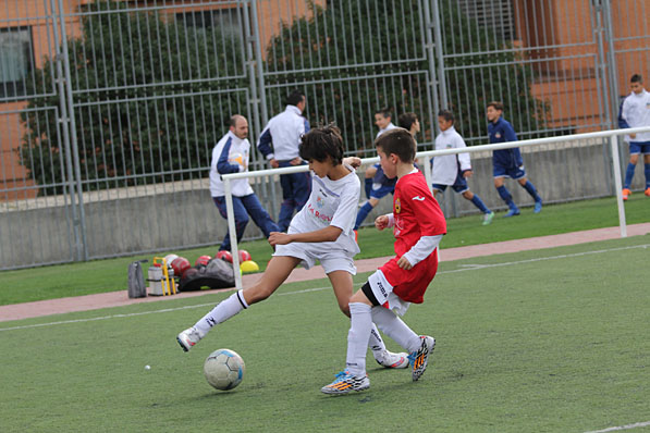 Alevín E