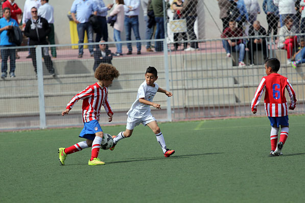 Benjamines