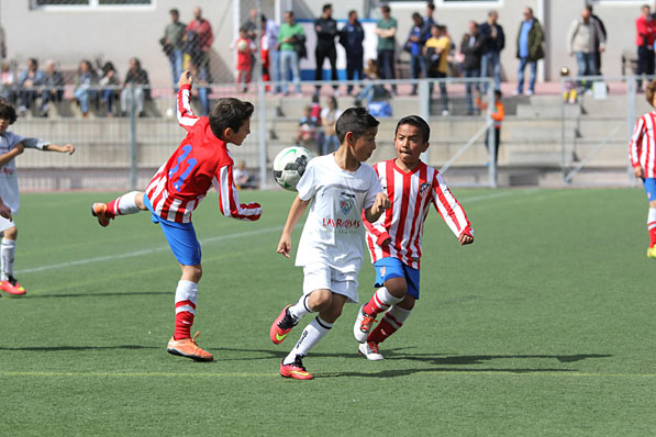 Benjamines