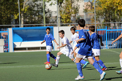 Alevín E