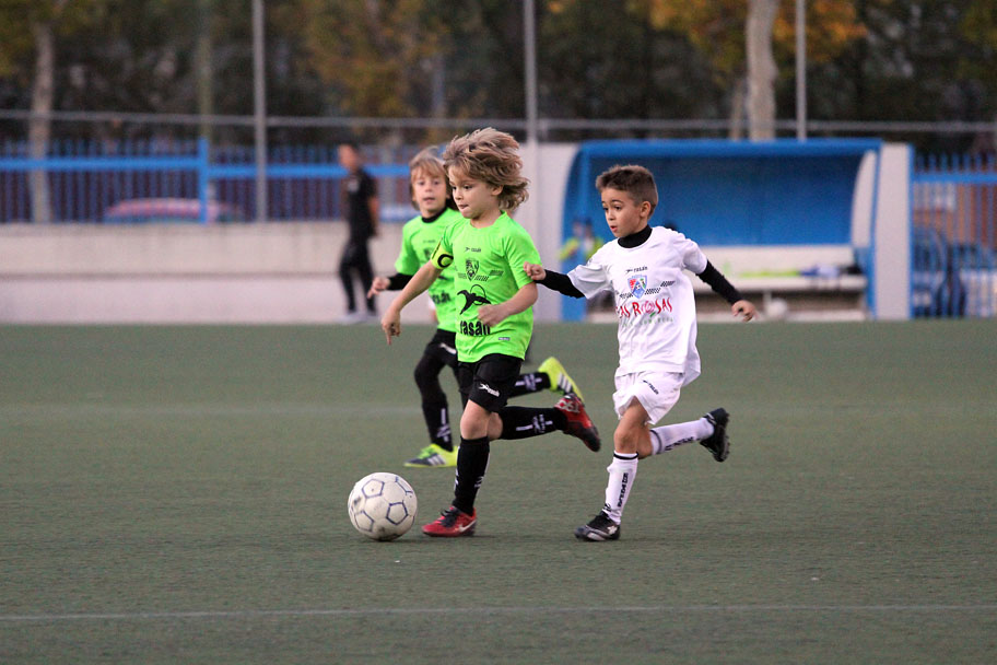 Prebenjamín