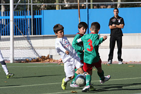 Benjamines