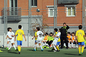 Alevín C