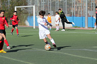 Alevín G