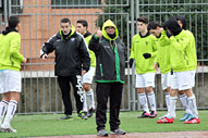 Lobo, Juvenil B