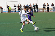 Alevin A
