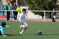 Alevin A