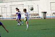 Alevin A