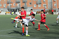 Alevin D