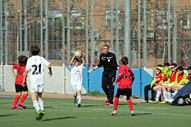 Alevin D
