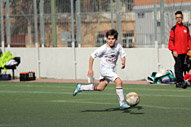 Alevin D