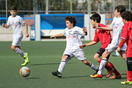 Alevin D