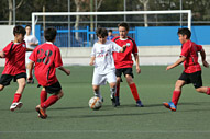Alevin D