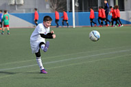Benjamines