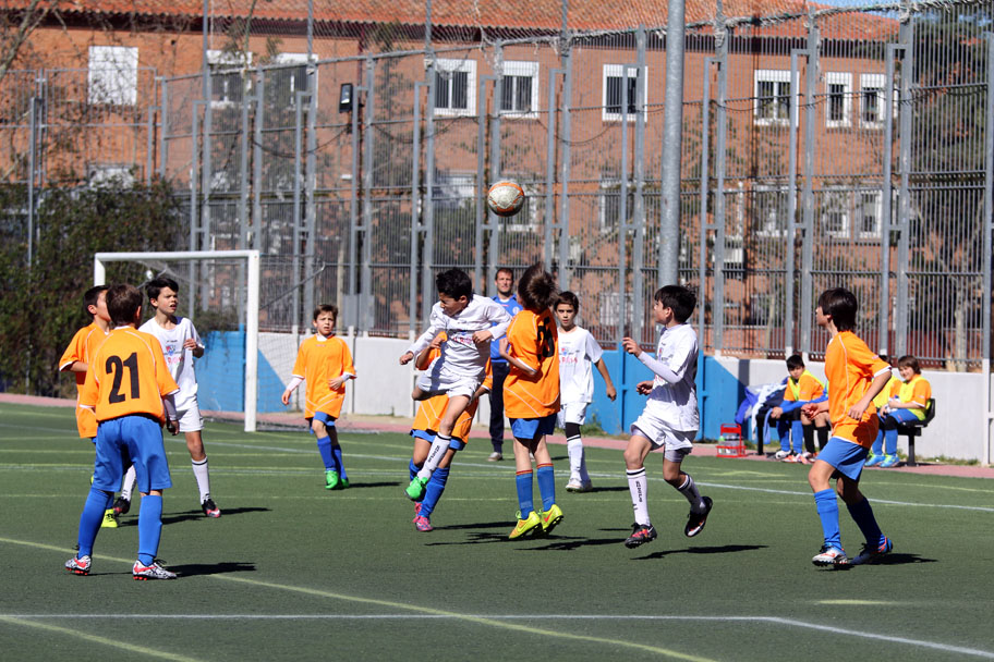 Alevín C