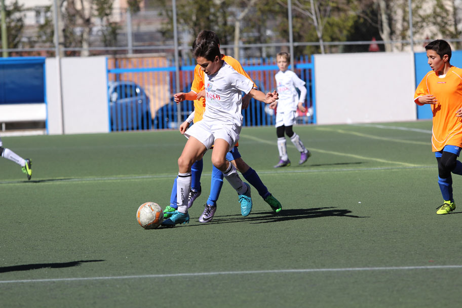 Alevín C