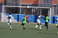 Benjamines