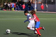 Benjamines
