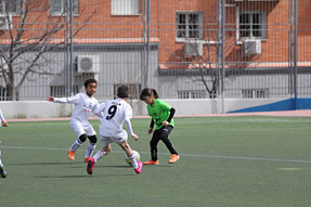 Benjamines