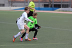 Benjamines