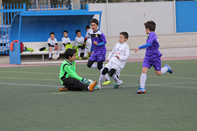 Benjamines