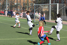 Benjamines