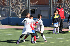Benjamines