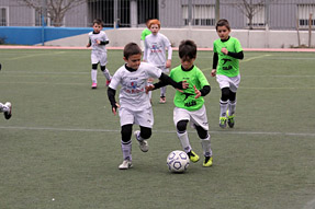 Prebenjamines