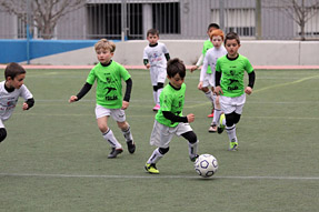 Prebenjamines